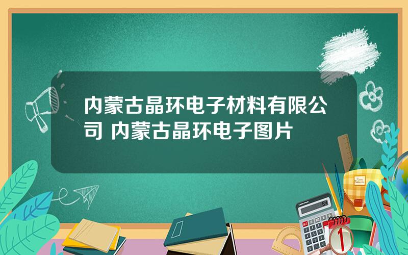 内蒙古晶环电子材料有限公司 内蒙古晶环电子图片